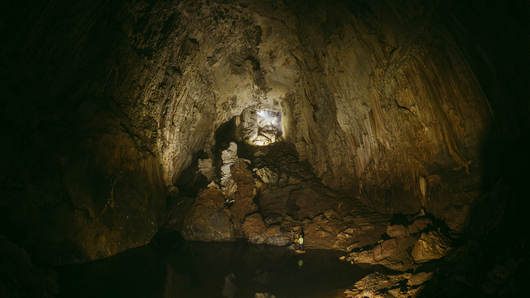 Images